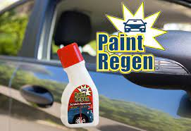 Paint Regen - como aplicar - como usar - funciona - como tomar 