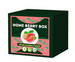 Home Berry Box - testemunhos - opiniões - comentarios - Portugal 
